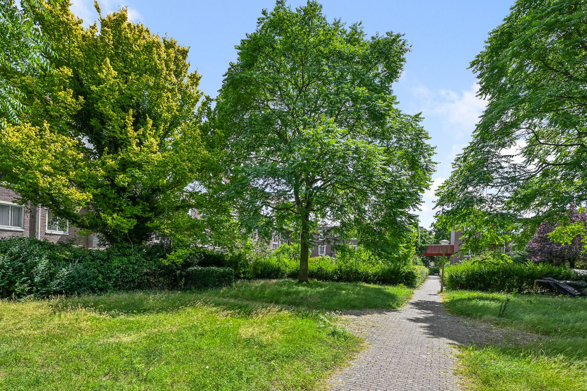 Foto 30 van Voorthuizenstraat 54