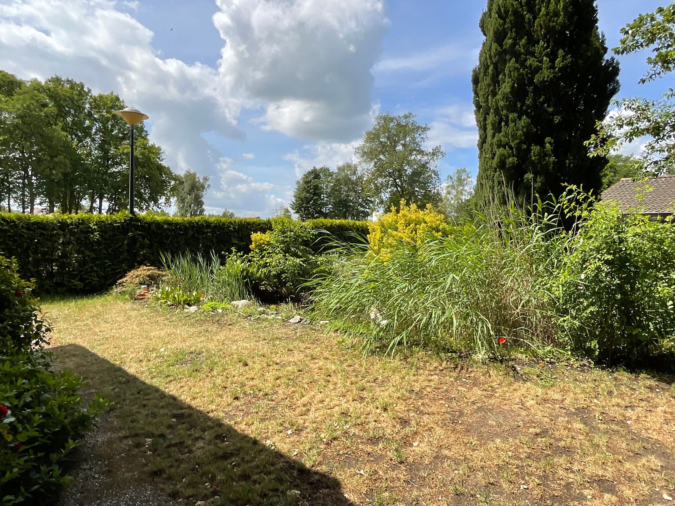 Foto 27 van Horster-Engweg 17-233