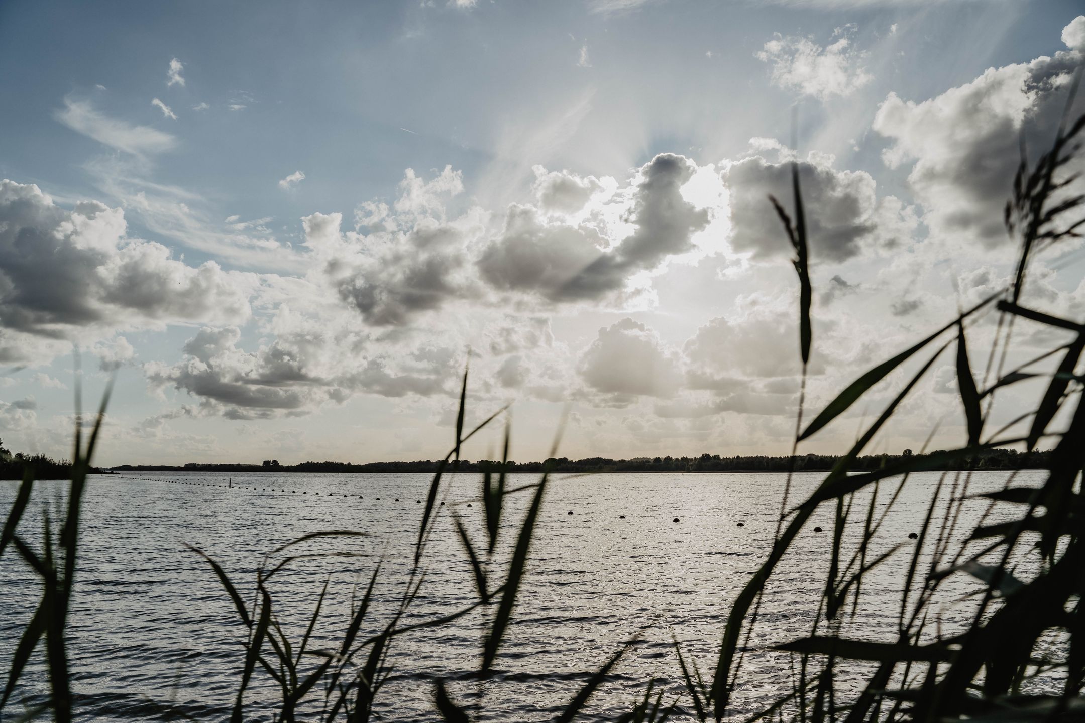 Foto 30 van Horster-Engweg 17-233