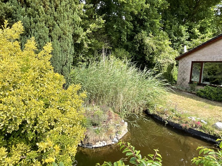 Foto 24 van Horster-Engweg 17-233