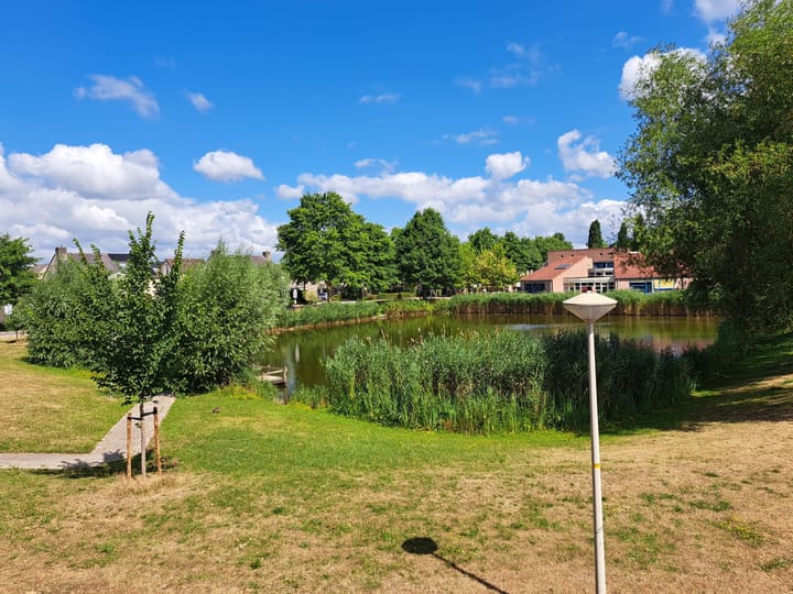 Foto 31 van Korte Loef 34