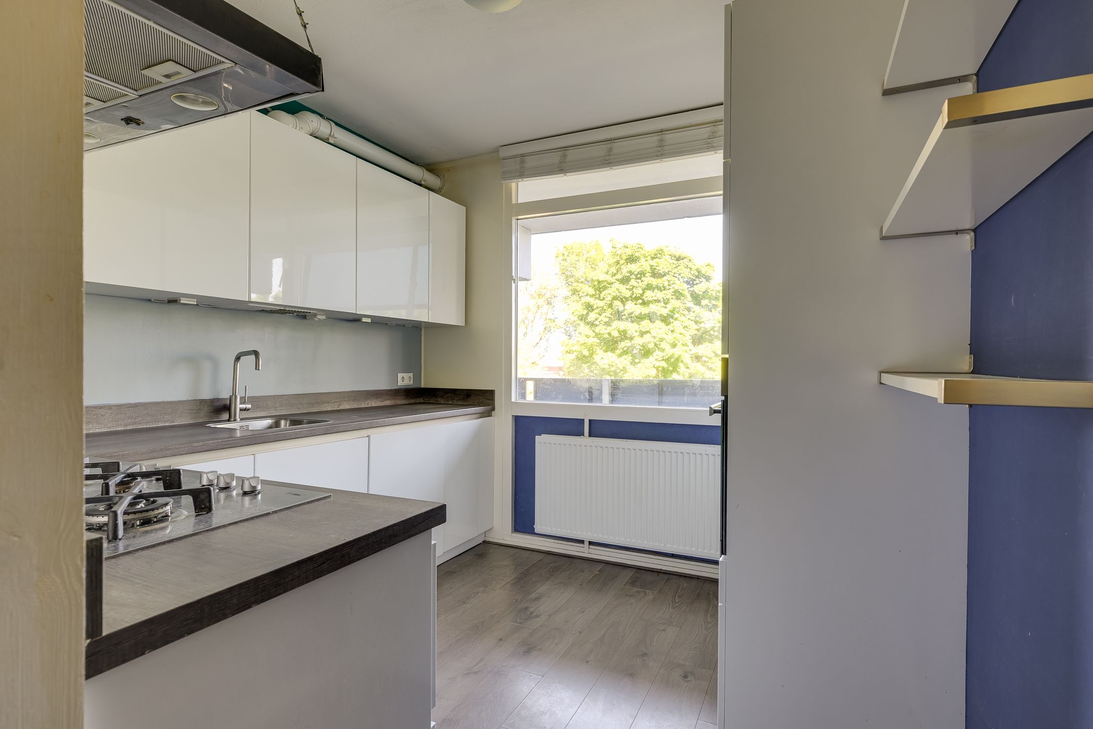 Foto 3 van Ds van den Boschlaan 103