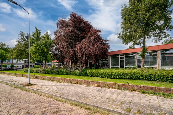 Foto 6 van Schelfhoutstraat 11