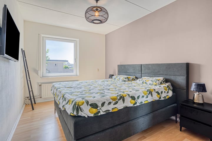 Foto 14 van Elstar 23