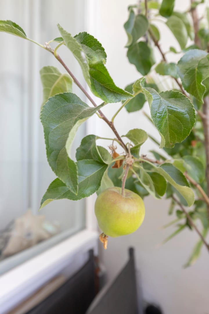 Foto 18 van De Boelelaan 351