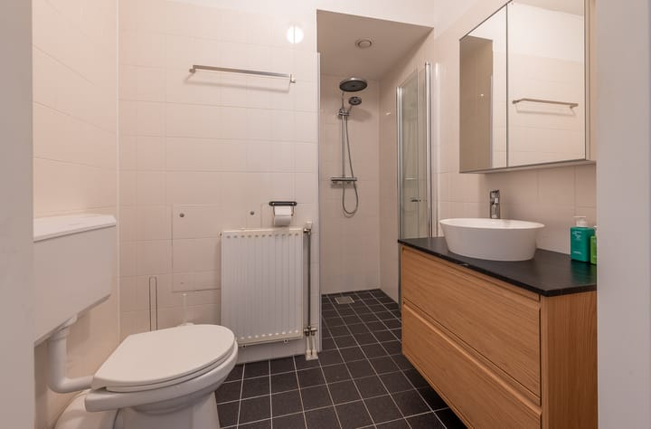 Photo 7 of Vurehout 11