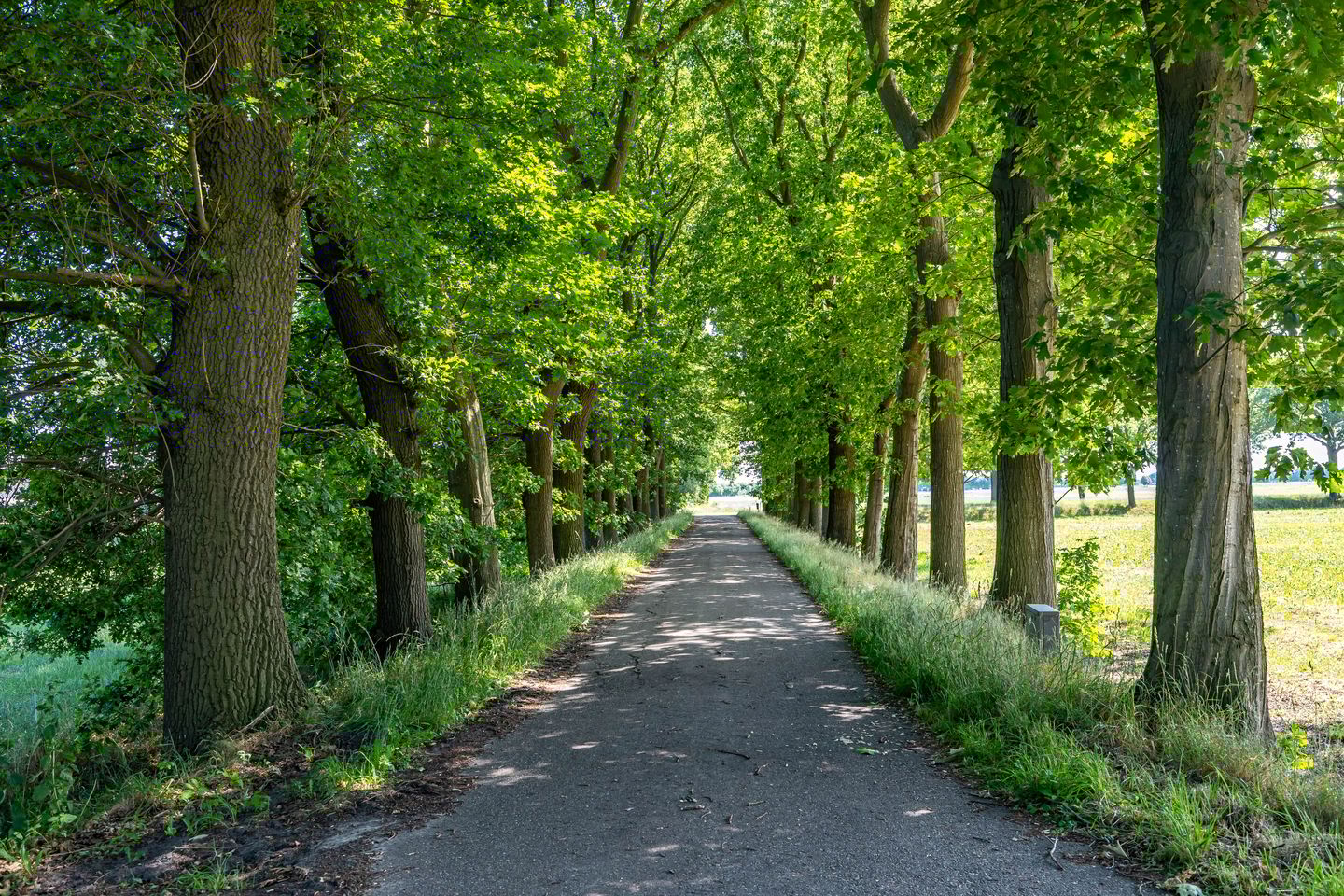 Photo 5 of Europaweg 327