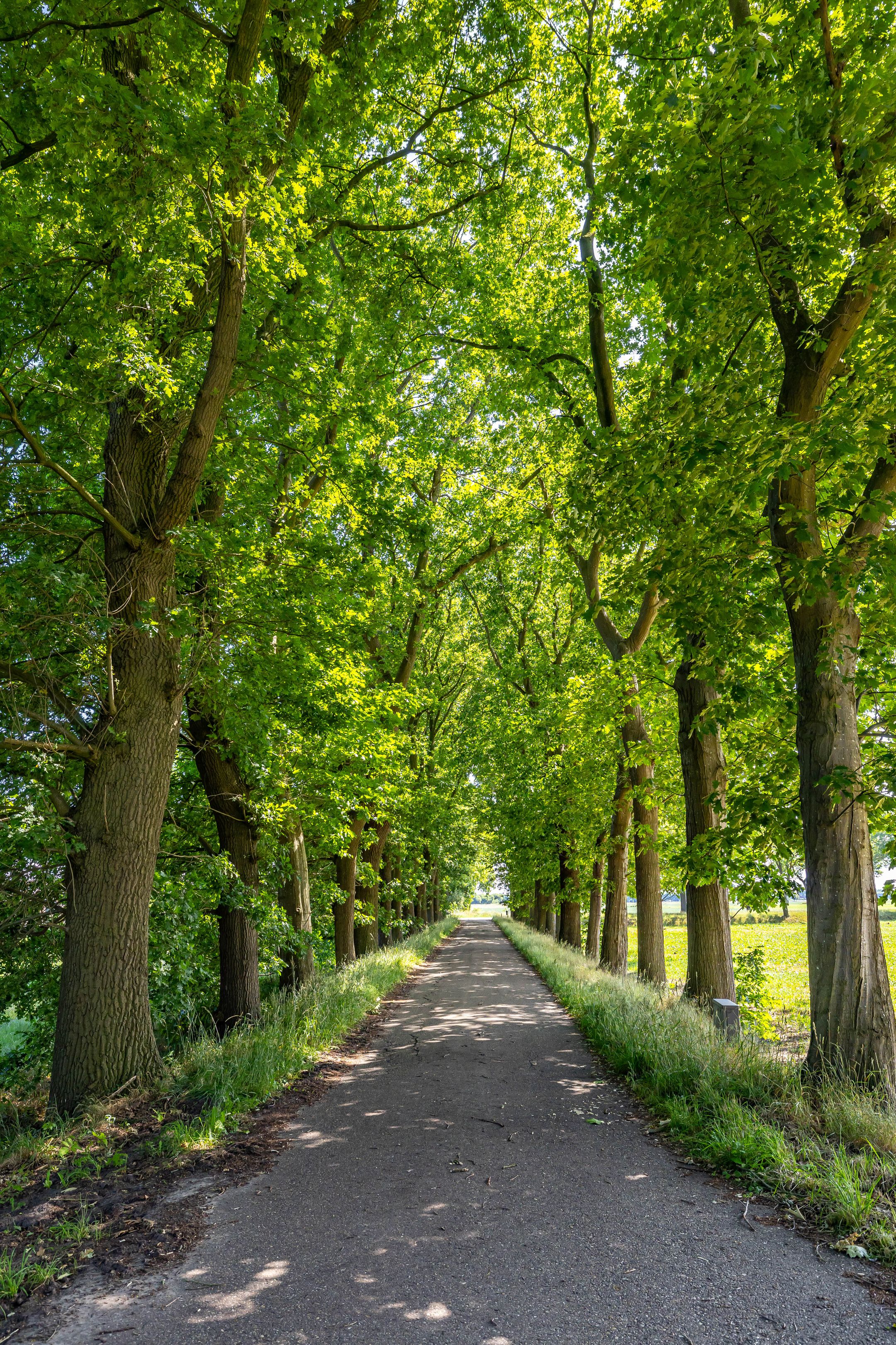 Photo 6 of Europaweg 327