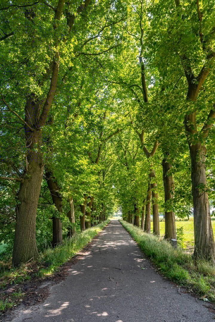 Foto 6 van Europaweg 327