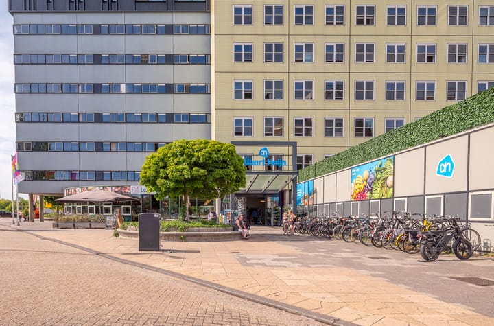 Photo 16 of Vurehout 11