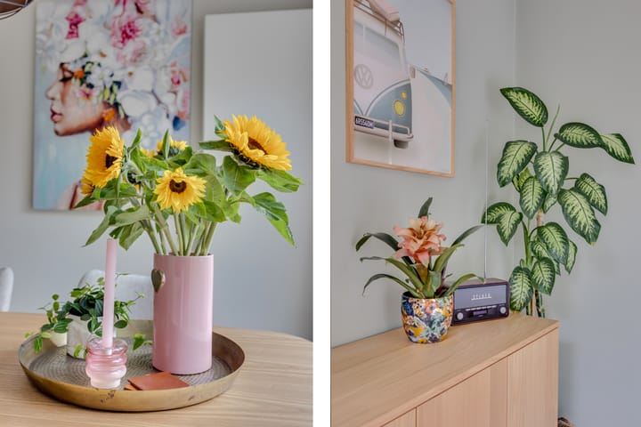 Foto 12 van Prunuslaan 16