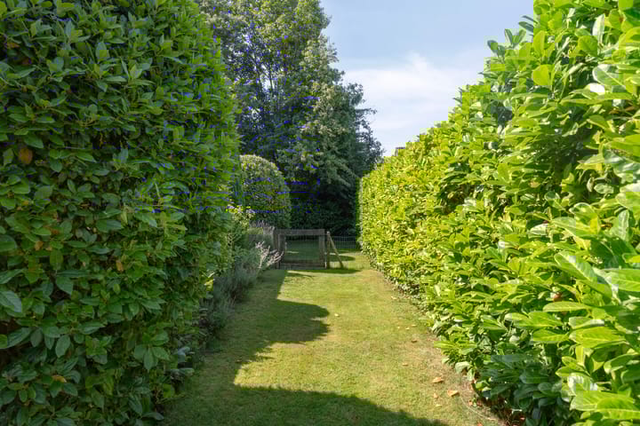 Foto 22 van Kokmeeuwstraat 19