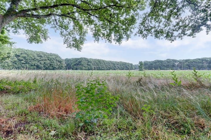 Foto 38 van Biesdelselaan 2-D