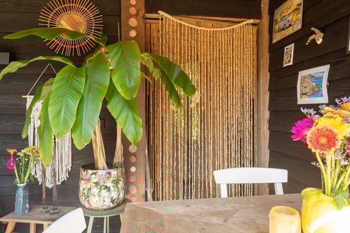 Foto 43 van Geest 32