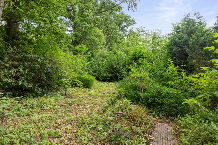 Foto 3 van Slingerbos 6-B