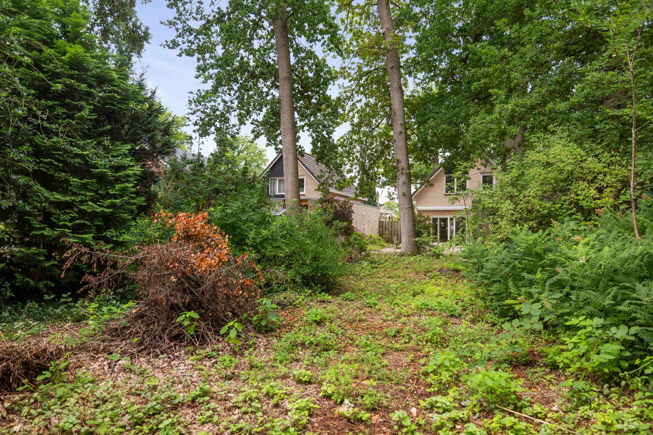 Foto 48 van Slingerbos 6-B