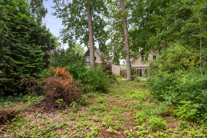 Foto 48 van Slingerbos 6-B