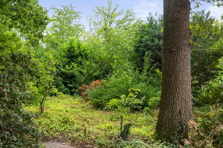 Foto 49 van Slingerbos 6-B