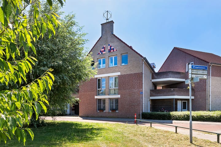 Foto 1 van Zwerfkei 78