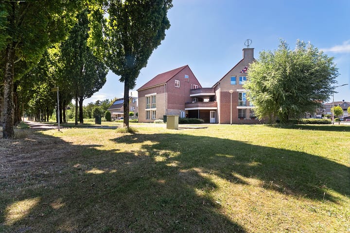 Foto 2 van Zwerfkei 78