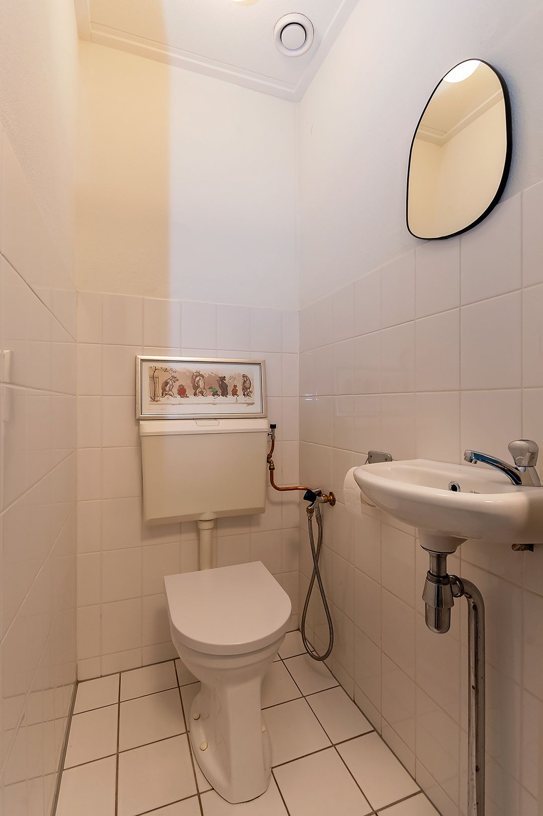 Foto 17 van Zwerfkei 78