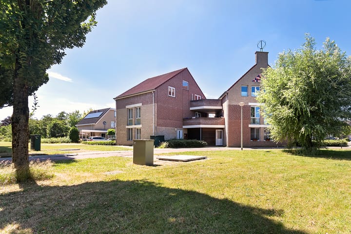 Foto 21 van Zwerfkei 78