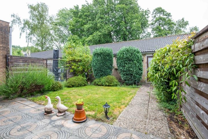 Foto 35 van Hogerlustlaan 50