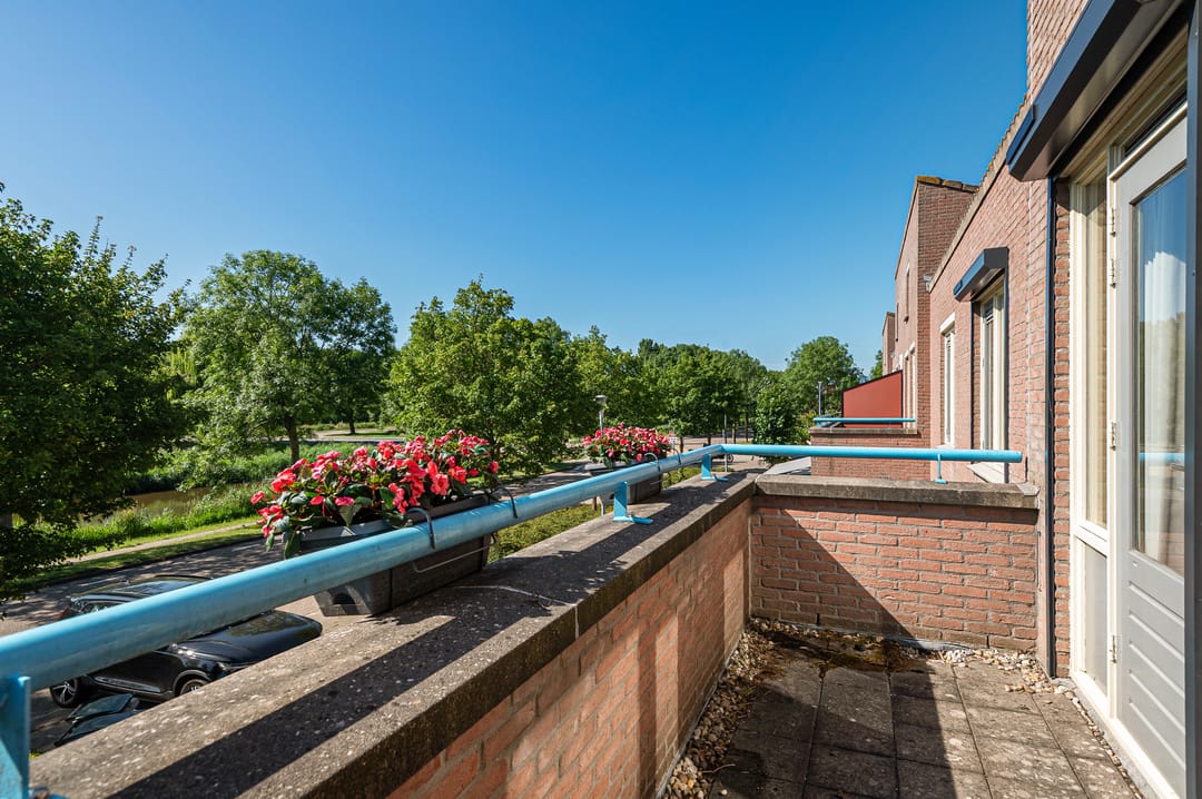 Foto 28 van Haya van Somerensingel 141