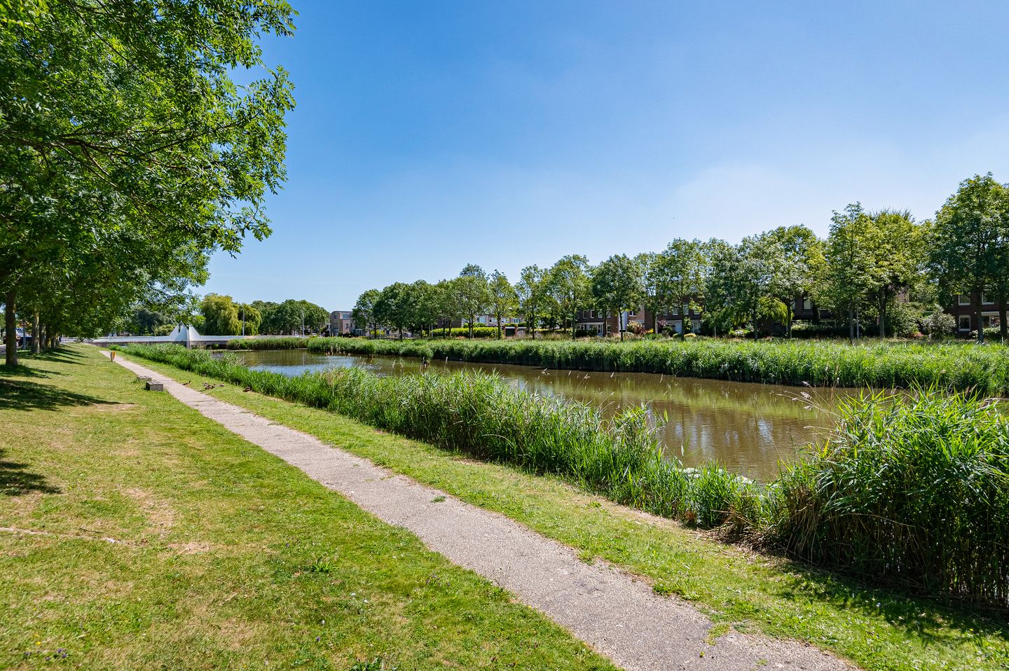 Foto 44 van Haya van Somerensingel 141