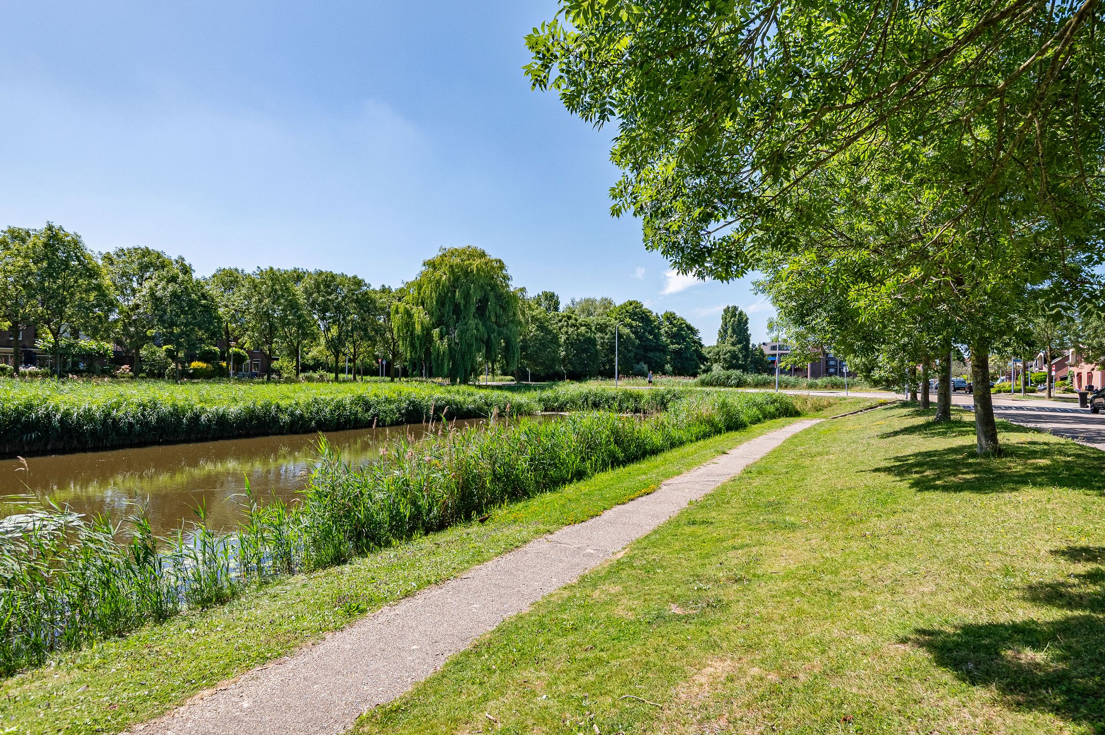 Foto 45 van Haya van Somerensingel 141