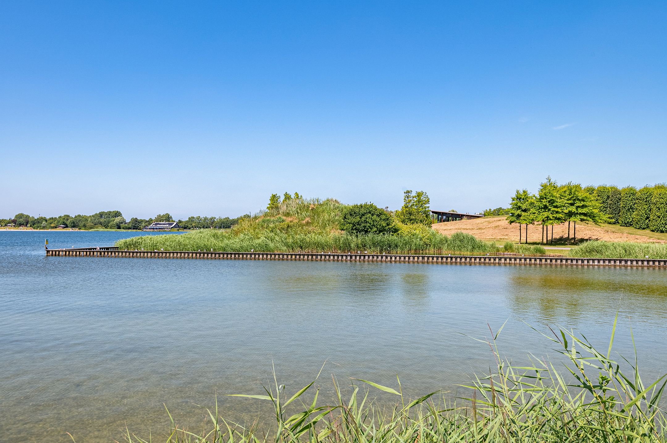 Foto 48 van Haya van Somerensingel 141