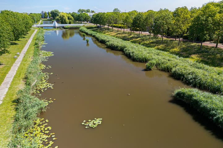 Foto 51 van Haya van Somerensingel 141