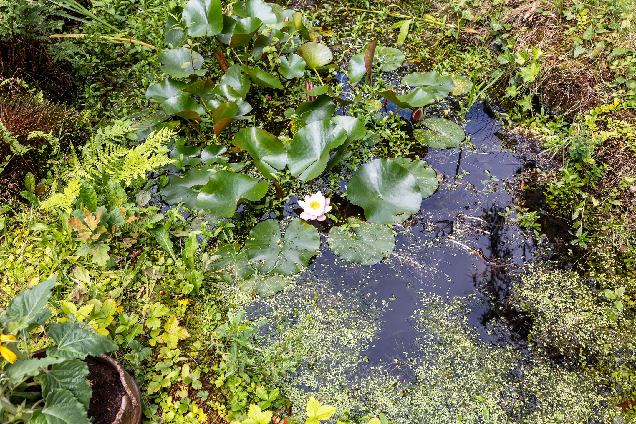 Foto 48 van Aristoteleslaan 29