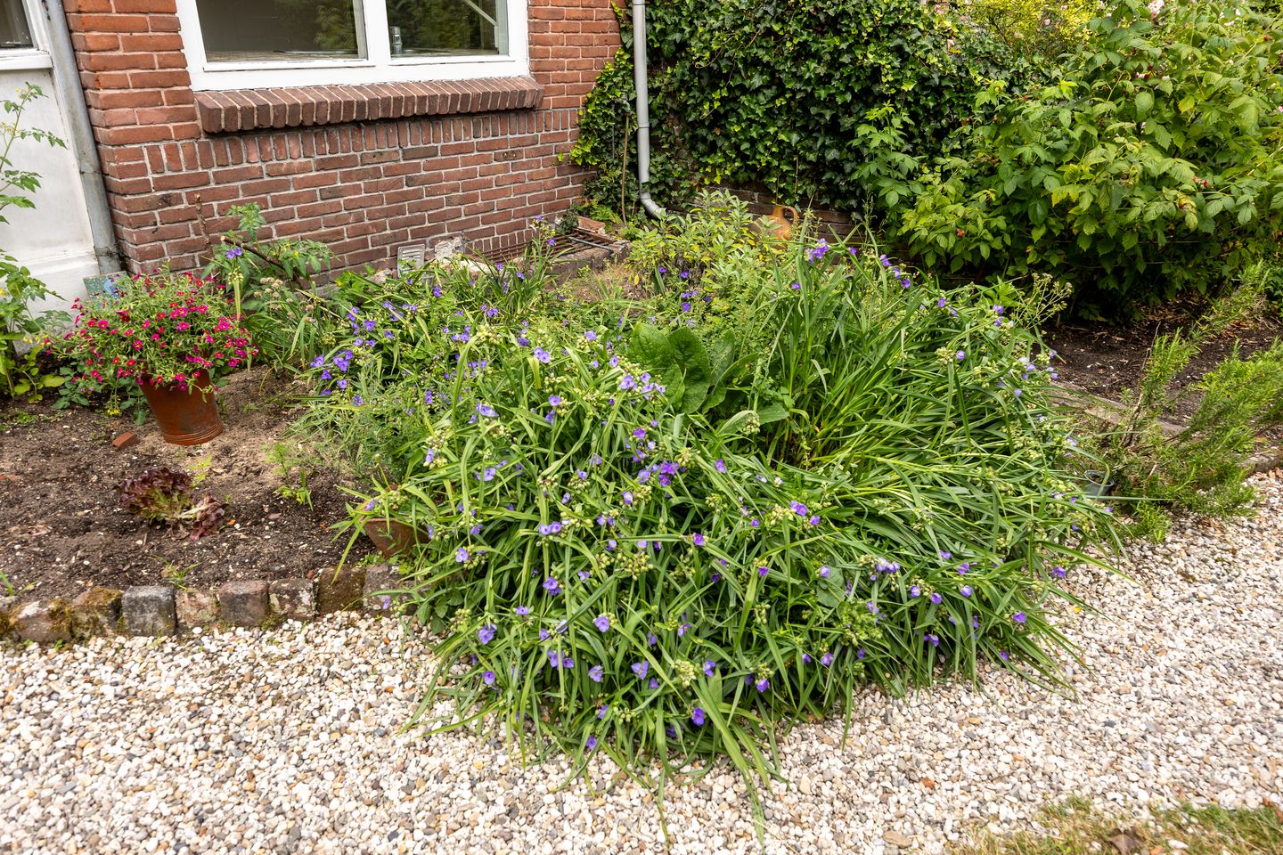 Foto 49 van Aristoteleslaan 29