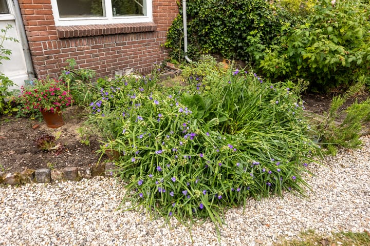 Foto 49 van Aristoteleslaan 29