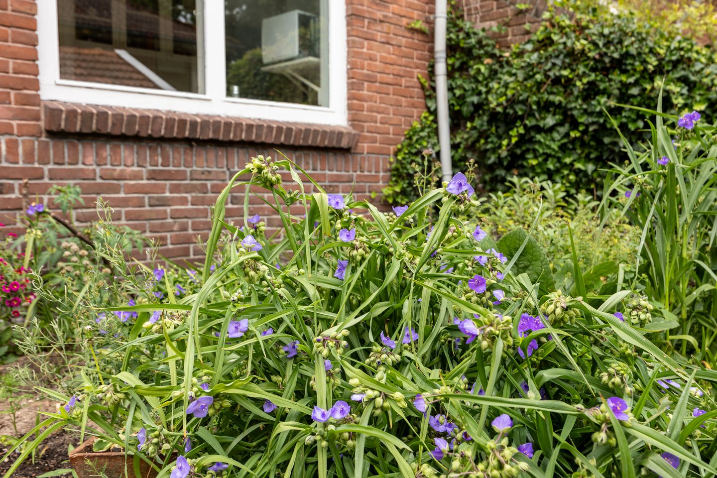 Foto 50 van Aristoteleslaan 29