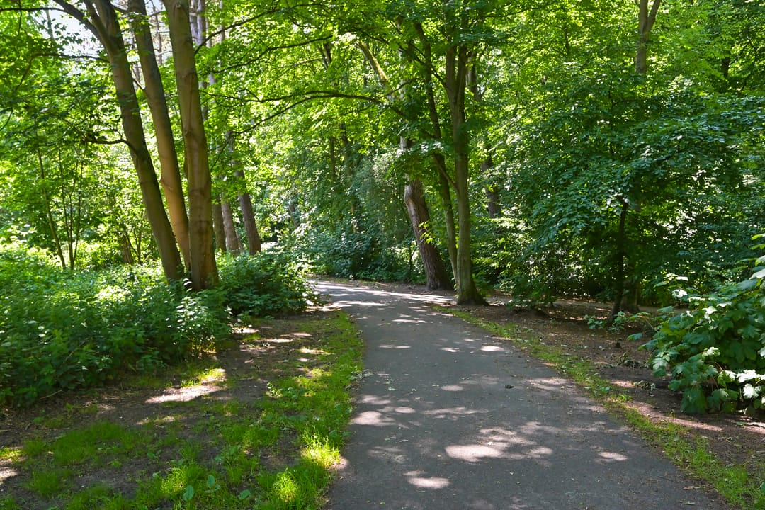 Foto 53 van Aronskelkweg 196