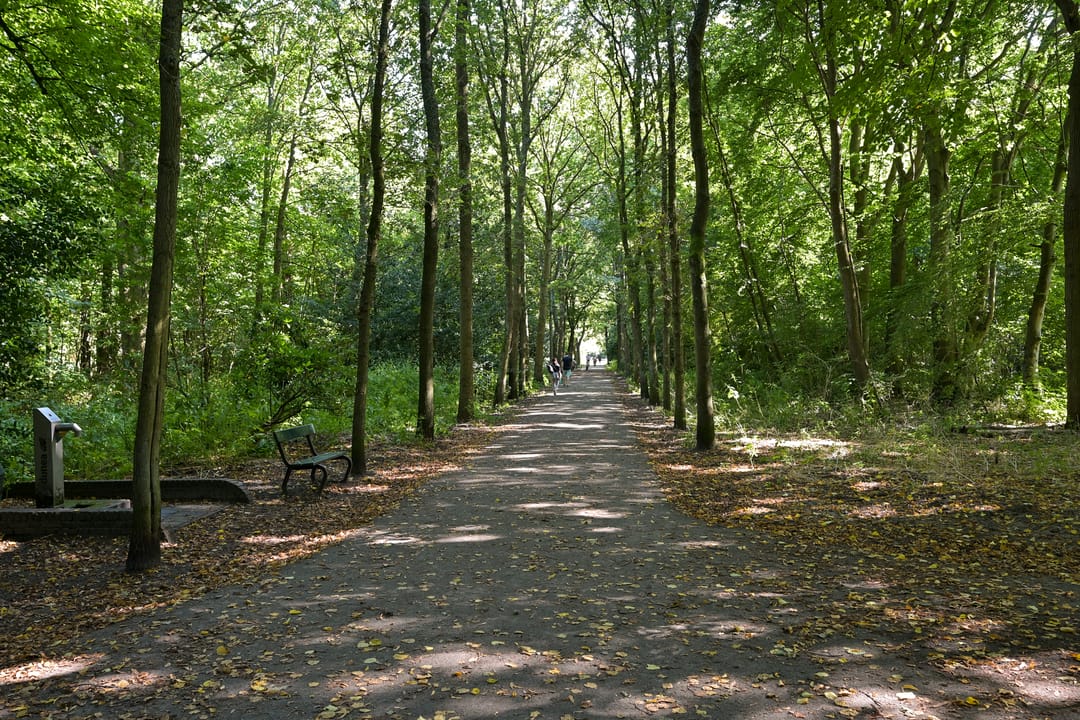 Foto 58 van Aronskelkweg 196