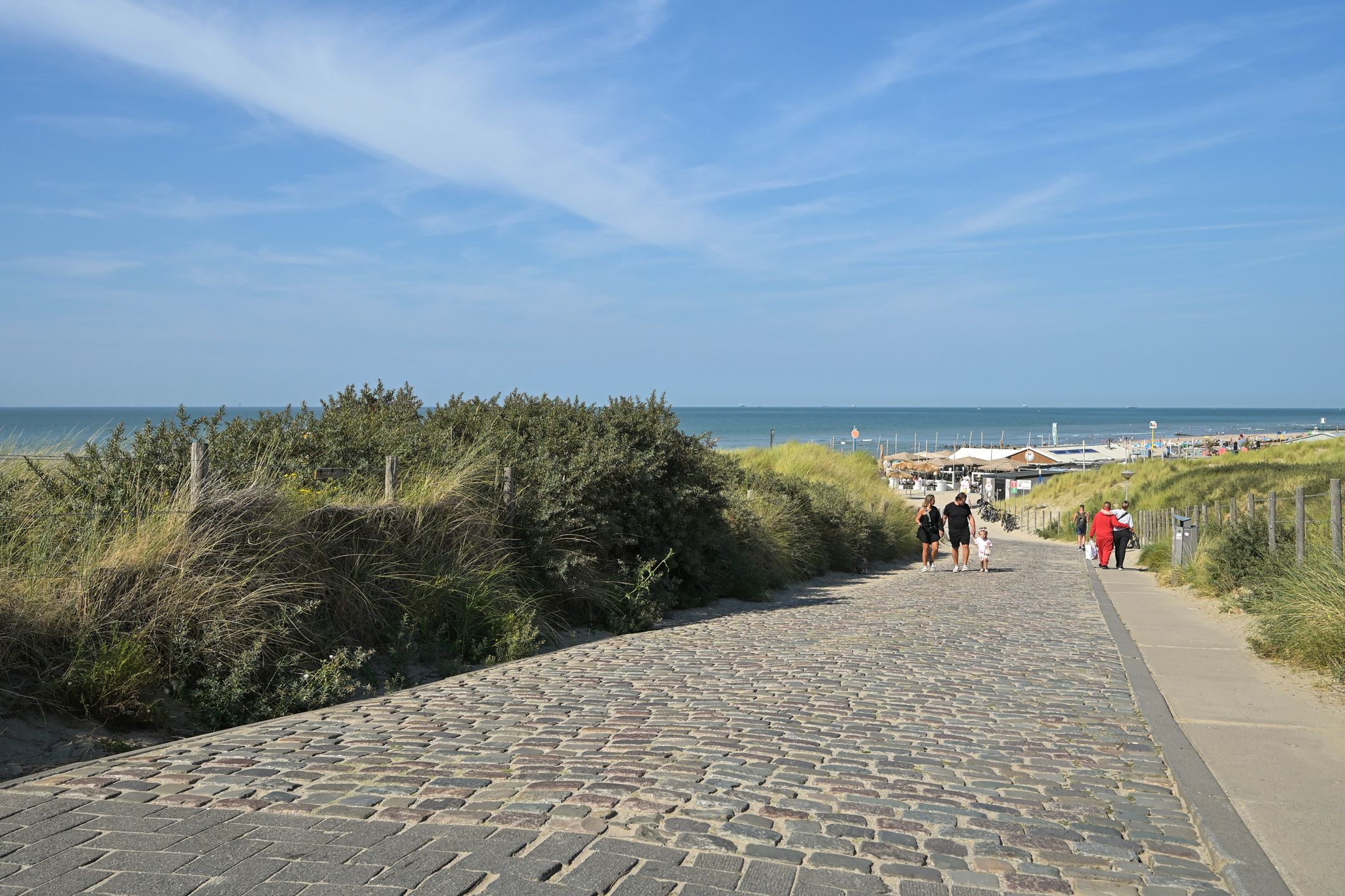 Foto 60 van Aronskelkweg 196