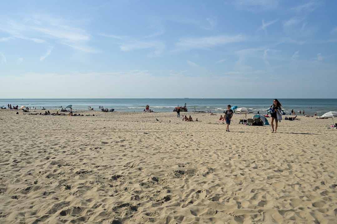 Foto 62 van Aronskelkweg 196