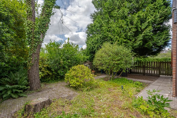 Foto 12 van Tjaskermolen 61