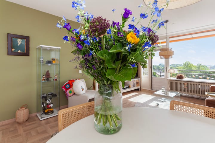 Foto 12 van Weteringsingel 113