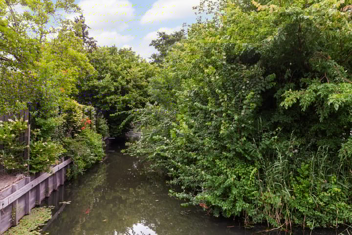 Foto 35 van Weteringsingel 113