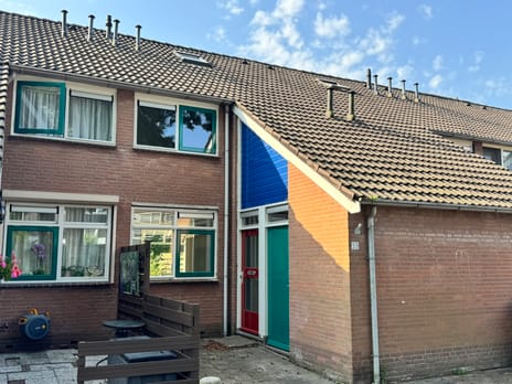 undefined main image