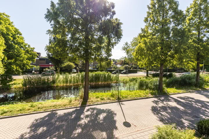 Foto 31 van Meeuwensingel 88