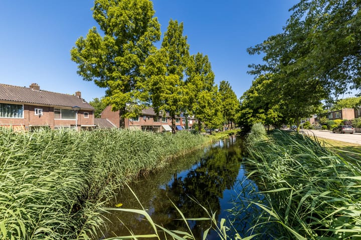 Foto 36 van Meeuwensingel 88