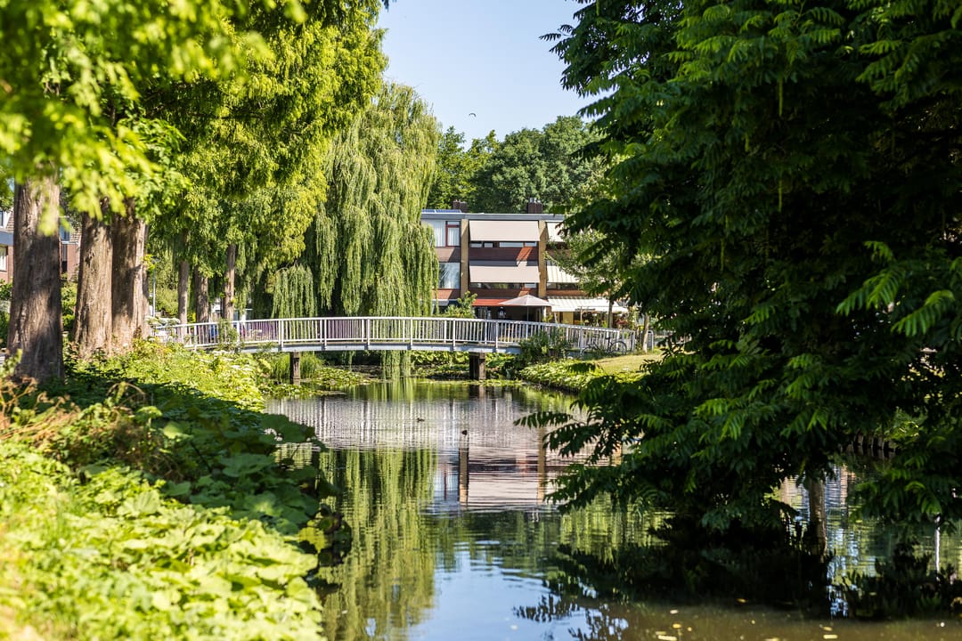 Foto 37 van Meeuwensingel 88