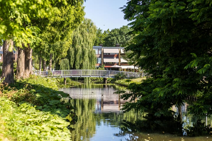 Foto 37 van Meeuwensingel 88