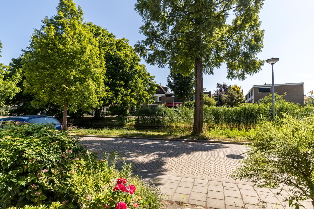 Foto 38 van Meeuwensingel 88