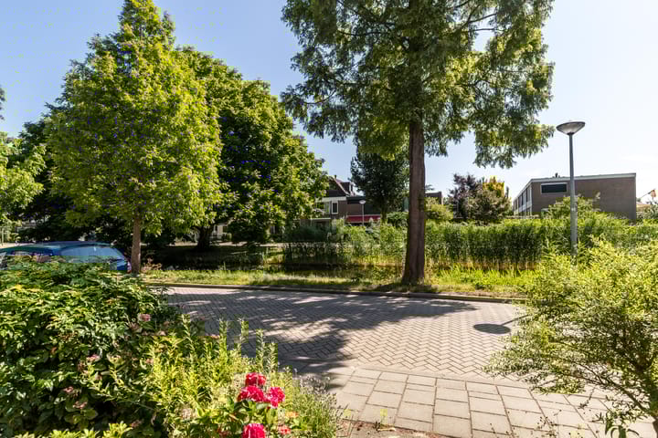 Foto 38 van Meeuwensingel 88